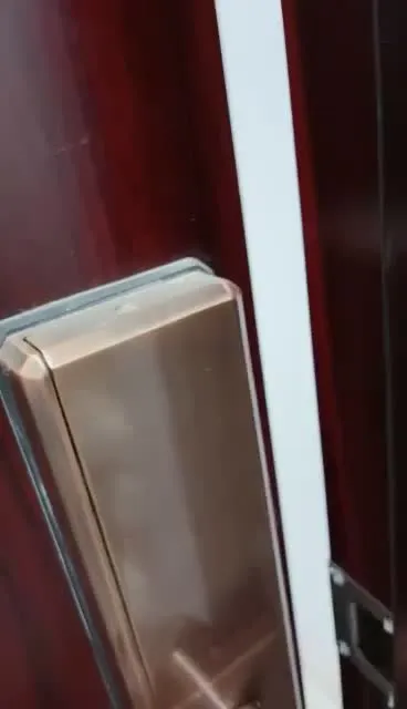 Xiaolu Diule: Deer Girl Gravure